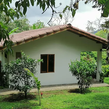 La Ceiba Tree Lodge