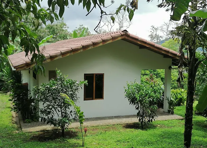 La Ceiba Tree Bed and breakfast