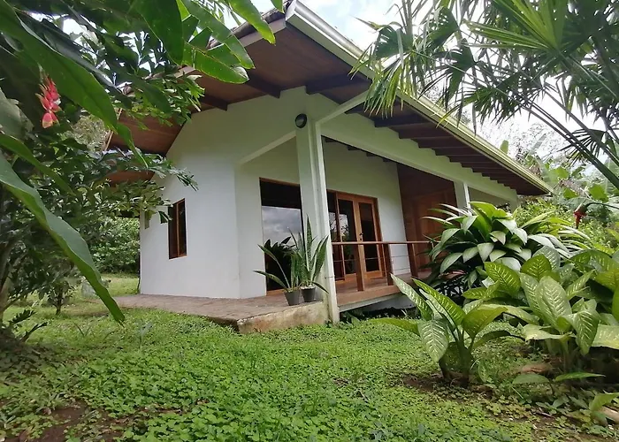 Bed and breakfast La Ceiba Tree Tilarán