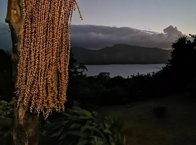 Bed and breakfast La Ceiba Tree 3*