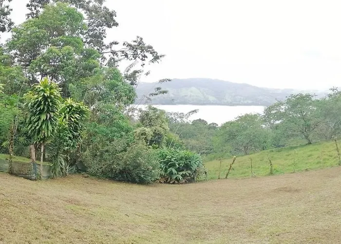 Bed and breakfast La Ceiba Tree 3*
