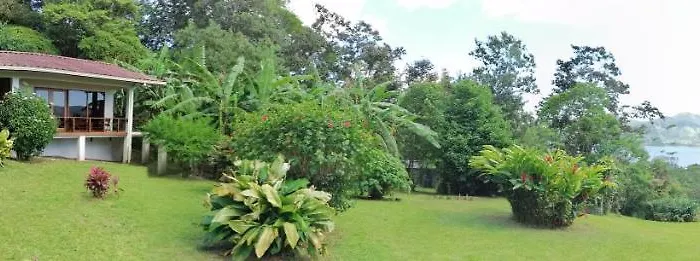 La Ceiba Tree Bed and breakfast