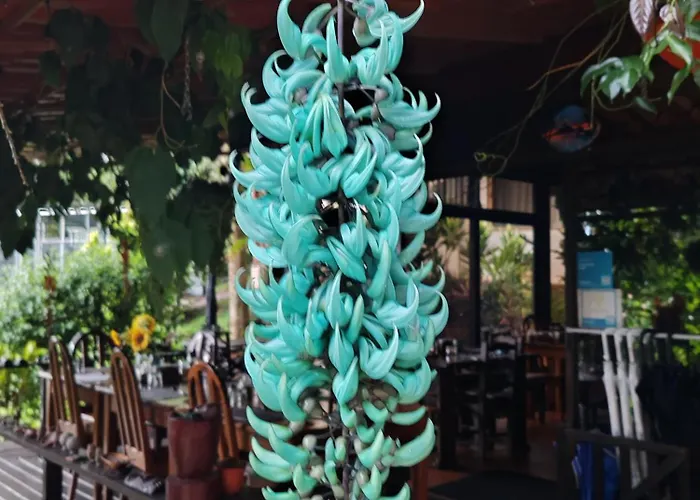 La Ceiba Tree 3*