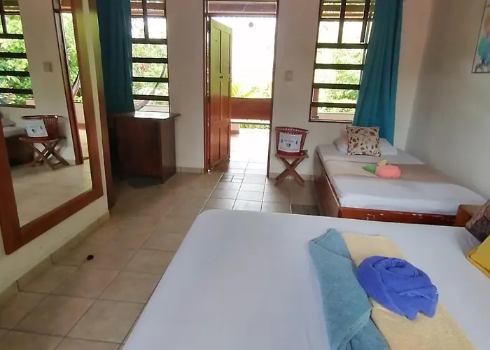Bed and breakfast La Ceiba Tree