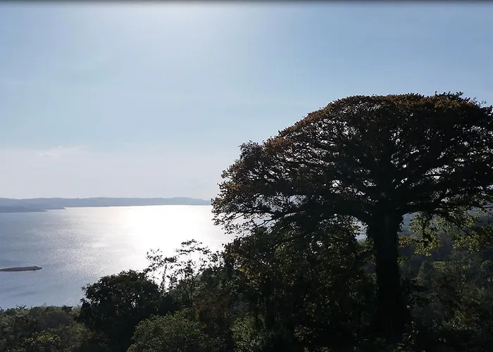 La Ceiba Tree Frühstückspension Tilarán