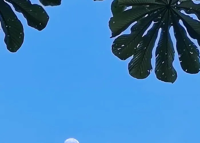 Frühstückspension La Ceiba Tree