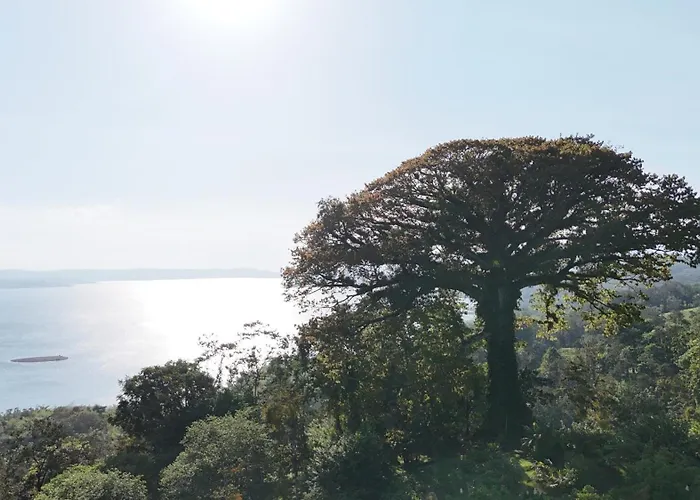 Frühstückspension La Ceiba Tree Tilarán